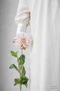 online cadeaubon Wabimento